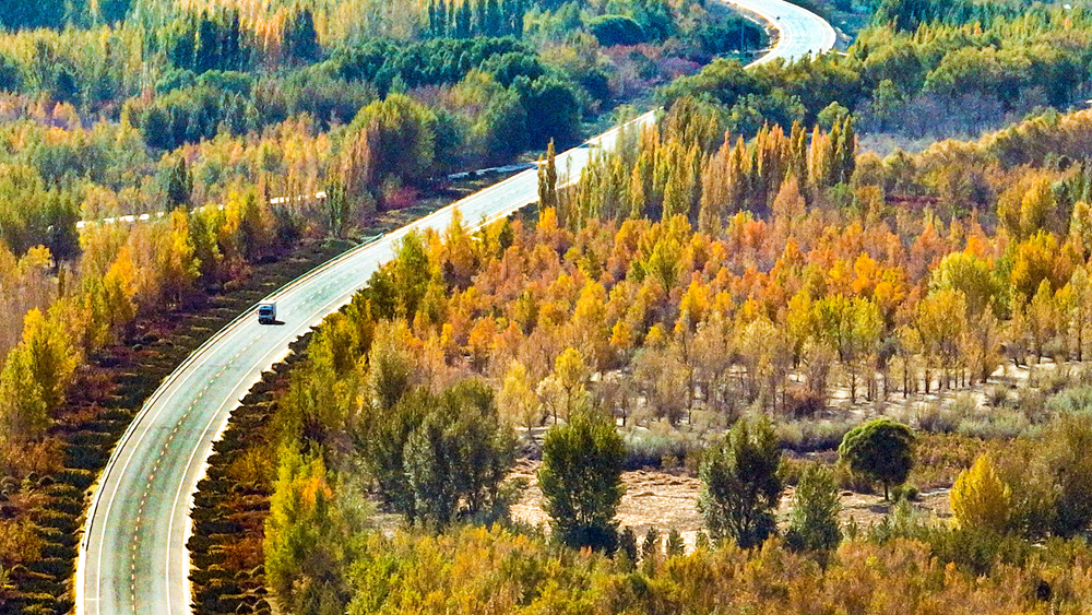 【“飞阅”中国】甘肃临泽:层林尽染画中诗