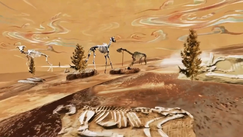 在甘肃和政“远古动物园” 探寻地球生命演化足迹