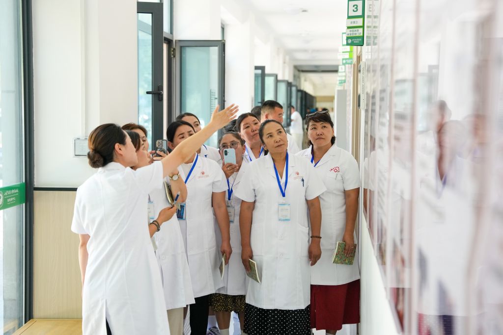 蒙古国学员在甘肃研学中医技艺