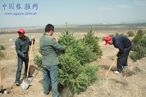 民乐：美化西山 扮靓家园