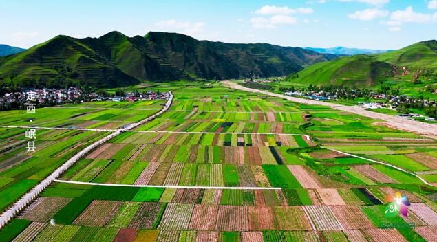 BOB全站“甘味”区域公用品牌：岷县当归(图3)